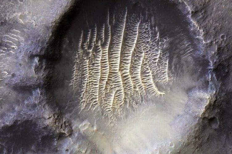 4118755